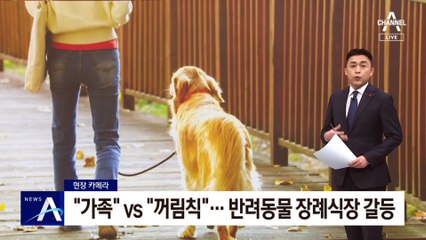 [현장 카메라]“가족인데” vs “꺼림칙”…반려동물 장례식장 갈등