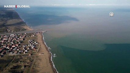 Sakarya'da denizin rengi değişti!