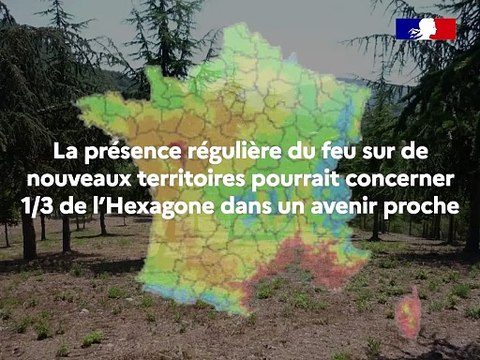 Focus sur… Politique de prévention et de lutte contre l’incendie de forêt dans un contexte d’extension et d’intensification du risque dû au changement climatique