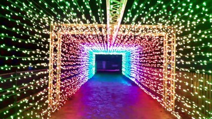 Enlightened Staunton - a walk through a magical tunnel of lights