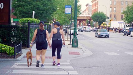 Women With A Dog Walking On The Crosswalk And Sidewalk.