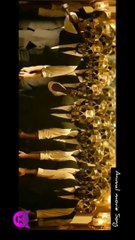 ANIMAL MOVIE _ Arjun vailey Bgm Ranbir Kapoor Sandeep Reddy Vanga_ Bhushan Kumar ....