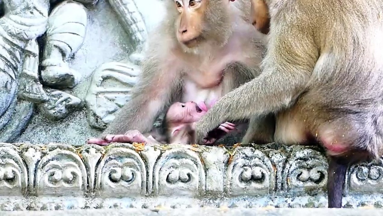 Look So Cute Actions!, Old Mother Takes Cares Baby With Nice Actions (720p_25fps_H264-192kbit_AAC)