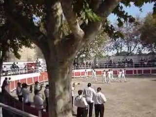 course camarguaise