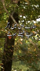 Shayri | Best poetry In Urdu And Hindi | Noushi Gilani | Weird Stories #viral #trending #poetry #status