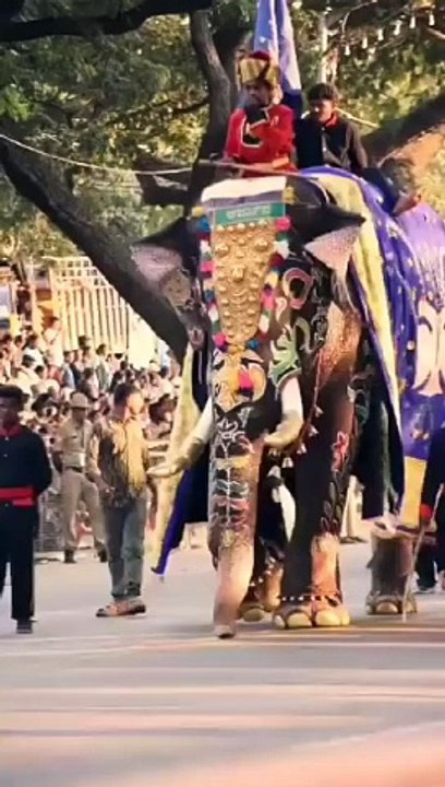 गोली लगने से नहीं हुई हाथी अर्जुन की मौत