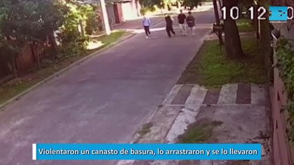 Violentaron un canasto de basura, lo arrastraron y se lo llevaron