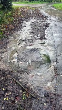 Sewage leaks onto public path near children's play area