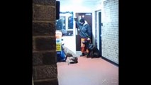 Man caught on doorbell camera kicking dog