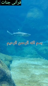 تلاوه عطره سوره الاخلاص بصوت الشيخ محمد جبريل