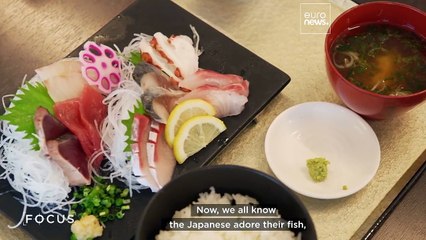 After the tsunami: Japan’s fishing communities look to the future