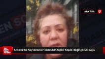 Ankara'da hayvansever kadından tepki: Köpek değil çocuk suçlu