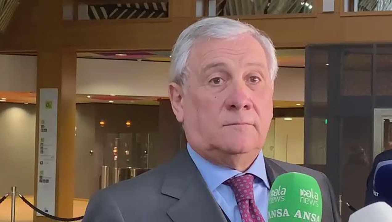 Mes, Tajani: "Ratifica prima delle elezioni europee? Vedremo" - Video