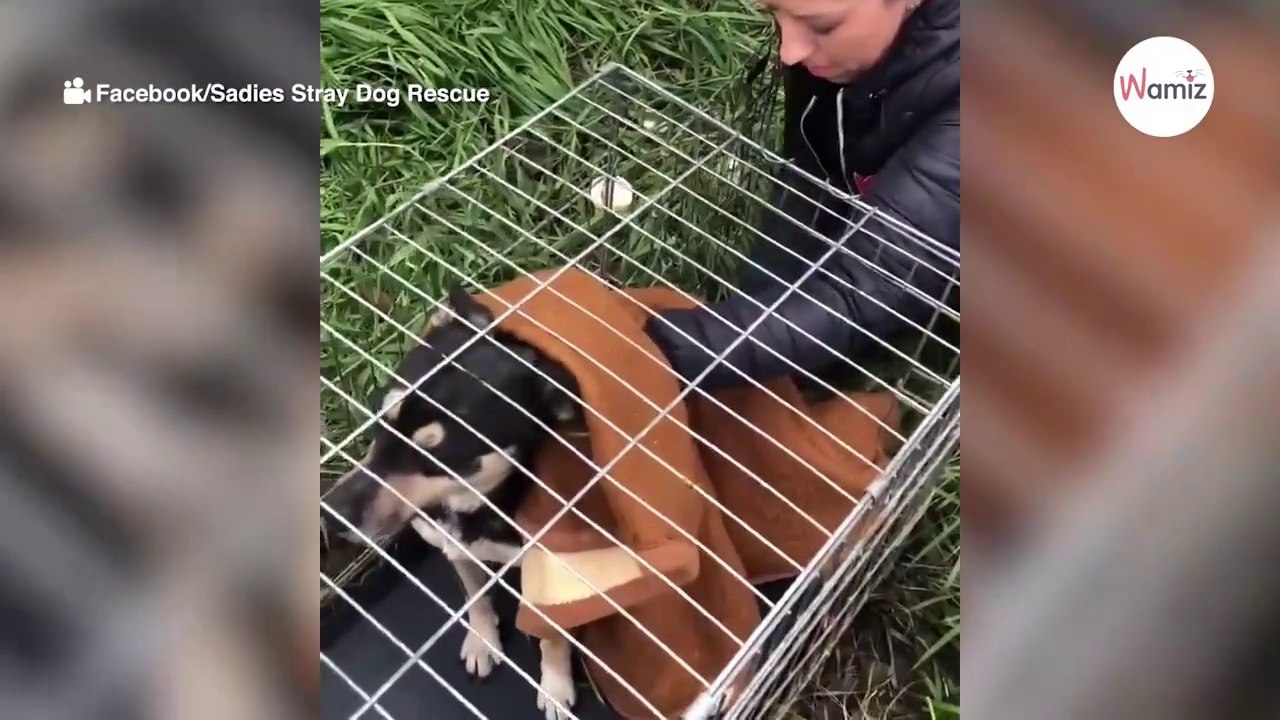 Ein Fund am Straßenrand zeigt, wie schlimm es um manche Menschen steht