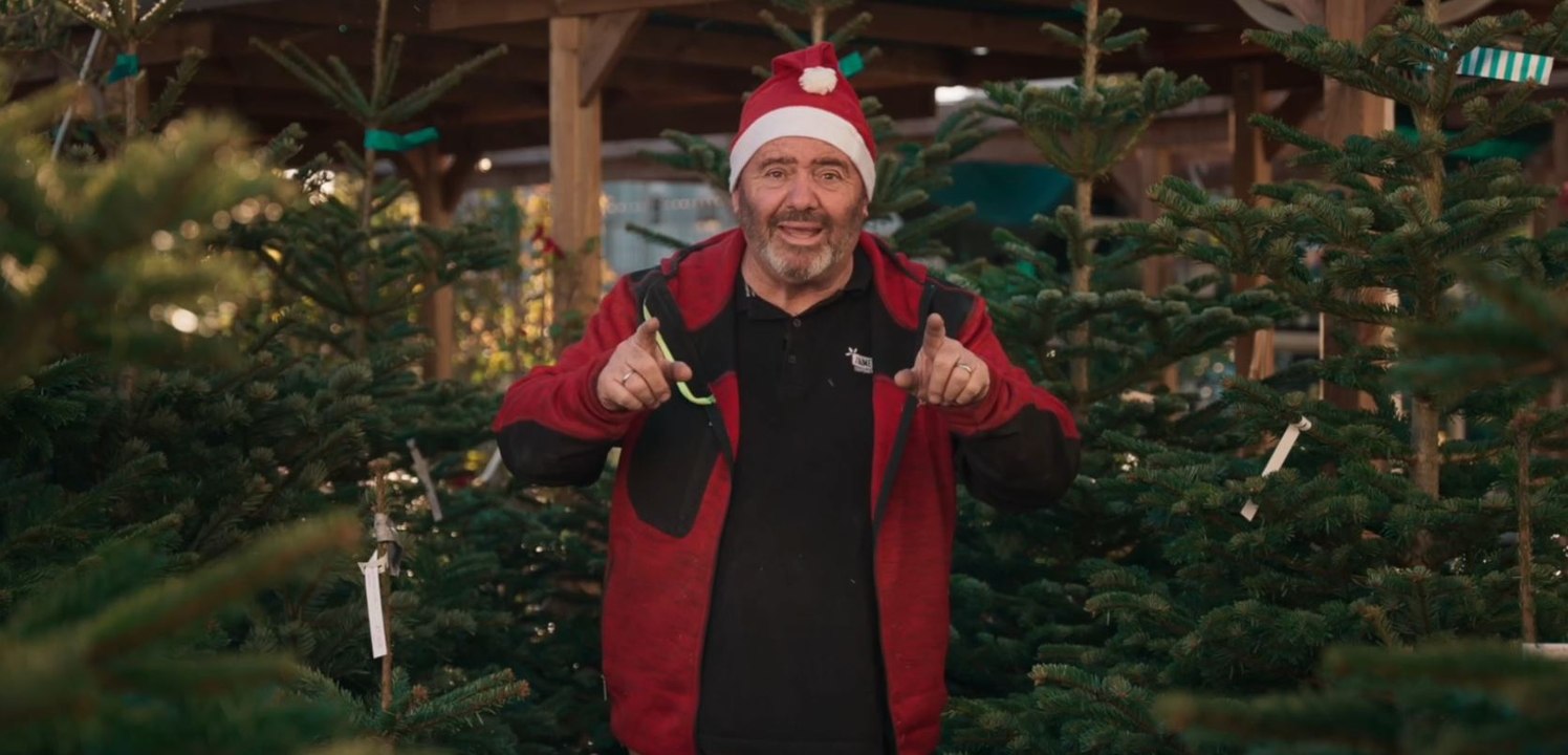 Sapin de Noël: pourquoi choisir un sapin Nordmann?