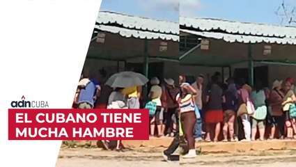 El cubano tiene mucha hambre. Denuncia ciudadana