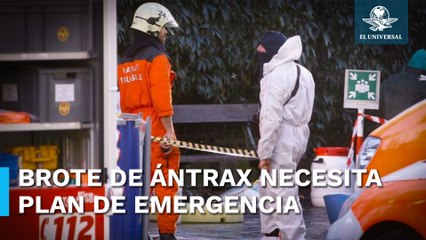 OMS lanza alerta por brote de ántrax; asegura que tiene alto riesgo de expansión