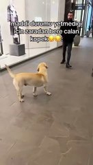 Kulağına airpods takmasını biliyor ama bir bere mi alamamış (!) 