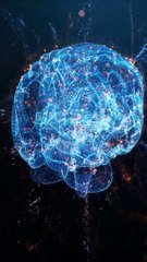 How Is Einstein's Brain Different From Everyone Else