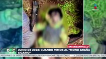 ¡Con palos y machetes! Campesinos se enfrentan a célula de La Familia Michoacana