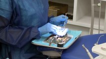 Cierran 2023 reconociendo esfuerzo de odontólogos del Colegio Odontológico de Jalisco