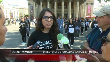 Corridas de toros es una fiesta válida: Cardenal de Guadalajara