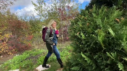 St-Barthélémy / St-Martin-Lestra épisode 4 : son géobiologiste