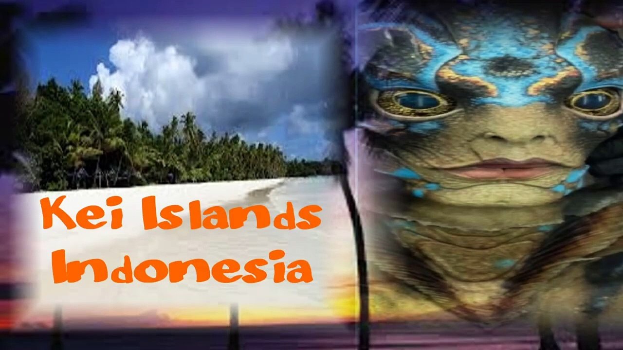 Mysteries of World War 2 | Pacific Theater - video Dailymotion