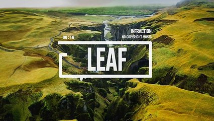 Cinematic_Nature_Drone_Documentary_by_Infraction_[No_Copyright_Music]___Leaf(0)