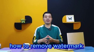 How to Remove Watermark from a Video | Video Watermark Remover