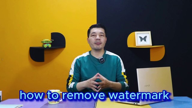 How to RemoveWatermarkfrom a Video | VideoWatermarkRemover