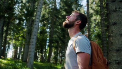 كيف تطير الطائرة وماهي القوى المؤثرة عليها