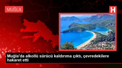 Muğla'da alkollü sürücü kaldırıma çıktı, çevredekilere hakaret etti