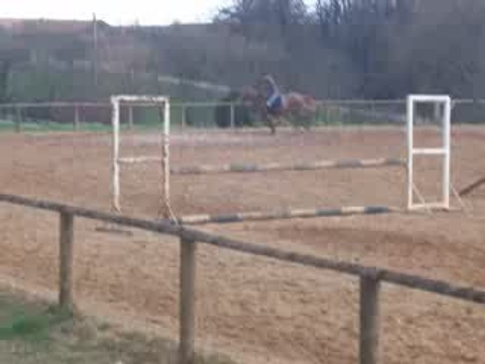 COUR DE SAUT