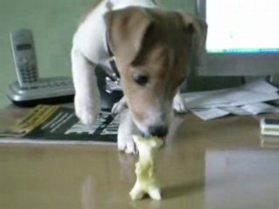 oscar du meilleur acteur ....