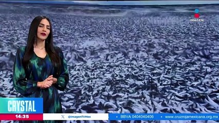 Evento de "Norte" provoca peligroso oleaje