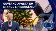 Mercado brasileiro automotivo não teme eletrificação | MÁQUINAS NA PAN