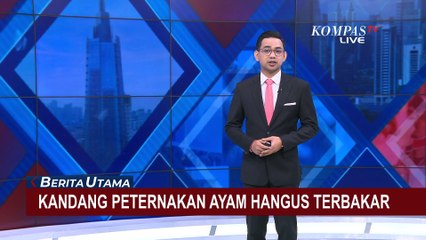 Kandang Peternakan Ayam di Sukabumi Ludes Terbakar, Asap Tebal Membumbung Tinggi!