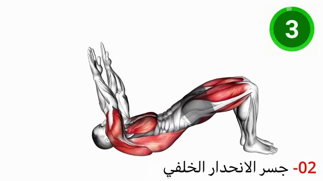 زيادة هرمون التستوستيرون في 3 دقائق | تعزيز الانتصاب الذكوري بشكل طبيعي في المنزل | تمارين قاع الحوض - HD 1080p