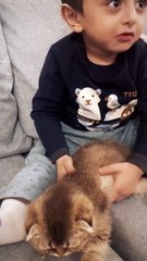 Cute child playing with a cat/طفل لطيف يلاعب قطة لطيفة