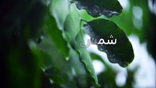قيمة الحرف العربي في ترسيخ الهوية وتعزيز التواصل الثقافي