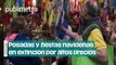 Falta de dinero y altos precios matan tradición de las posadas en México