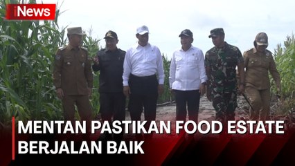 Kunjungi Gunung Mas, Mentan-Wamenhan Pastikan Food Estate Berjalan Baik