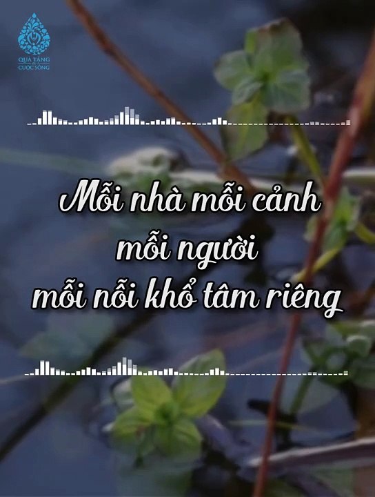Cuộc sống có gian nan vất vả đến mấy.. Thì tôi cũng chẳng muốn phiền đến ai..!