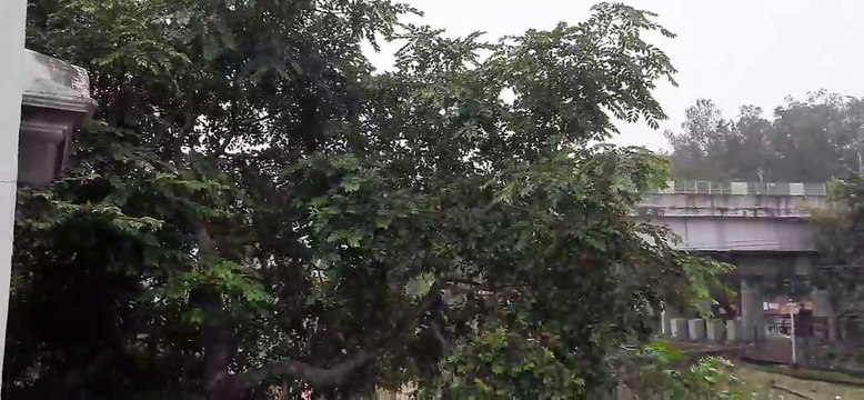 Weather Updates: चक्रवाती तूफान 'मिचौंग' ने बदल दिया मौसम, शीतलहर और ठंड को लेकर जारी हुआ अलर्ट