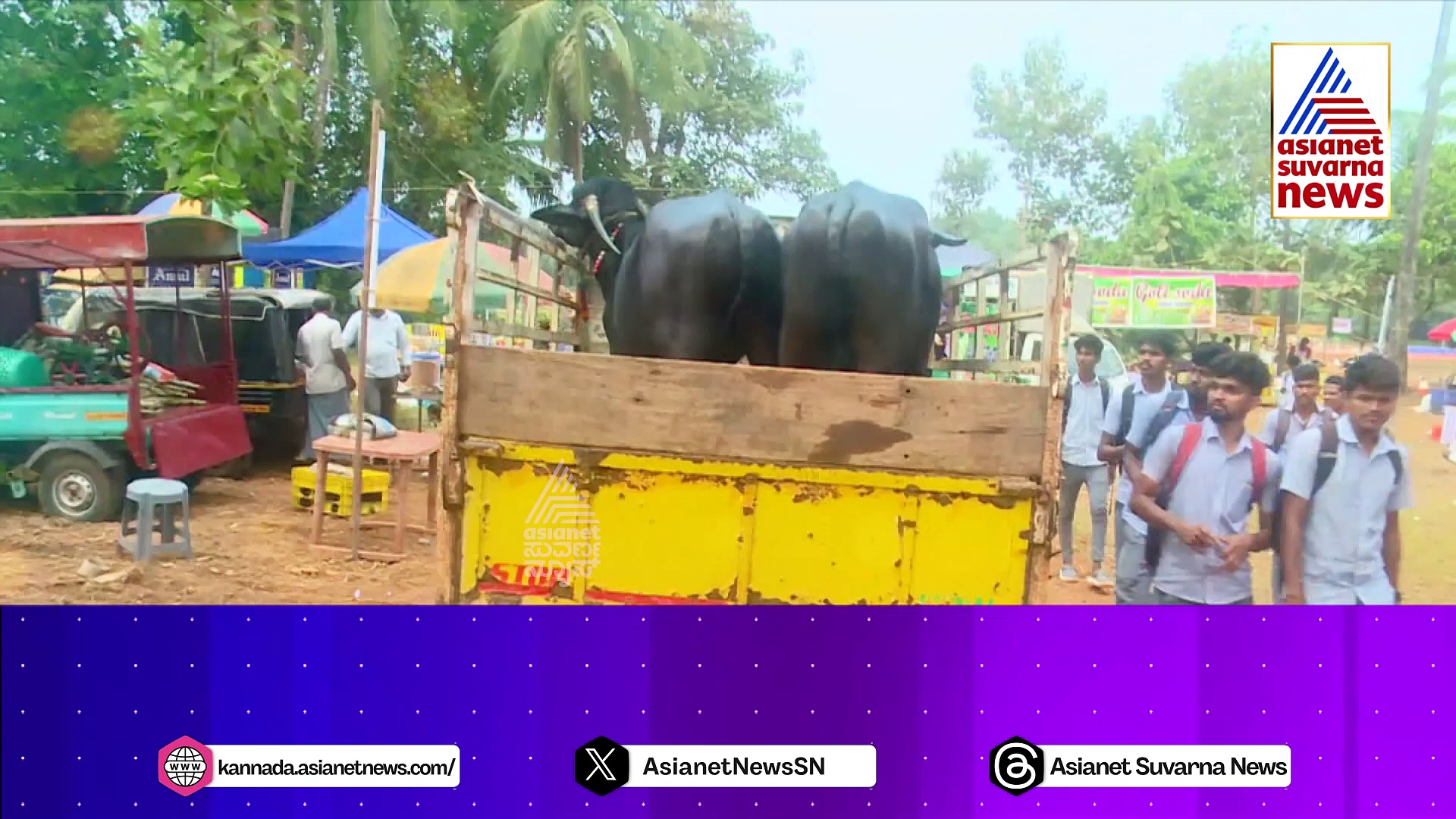 ಕರಾವಳಿಯಲ್ಲಿ ಜನ್ನ ಕಂಬಳ ವೈಭವ: ಬಂಟ ಸಮುದಾಯದ ದೊಡ್ಡಮನೆಯಲ್ಲಿ ಸಂಭ್ರಮ