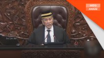 Senator dilantik Menteri perlu jadi juara terbaik tegakkan institusi Dewan Negara - Wan Junaidi