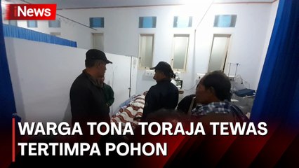 Nahas! Pohon Tumbang Timpa Rumah di Tana Toraja, 1 Orang Tewas