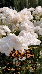 Al Quran Tarjuma In Urdu | Weird Stories