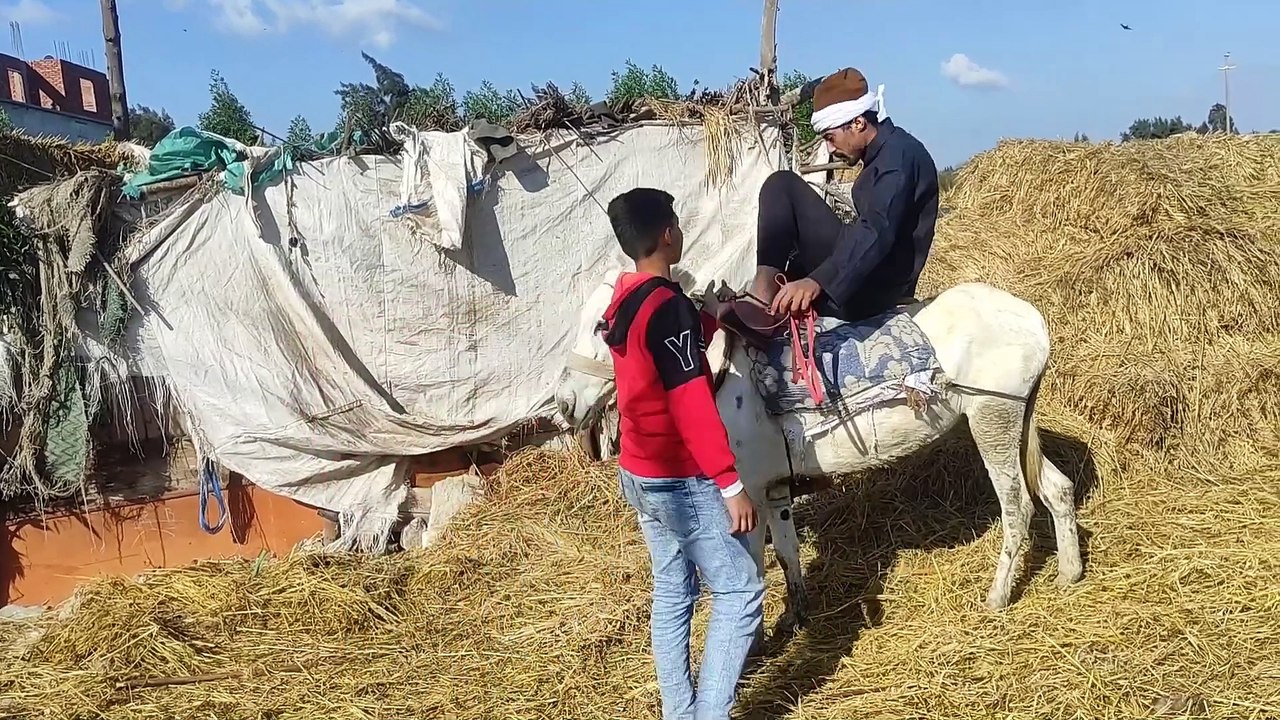 لو عايز تكسب فلوس كتير من غير ما تشتغل اي شغلانه ولا تهين نفسك اعمل كده